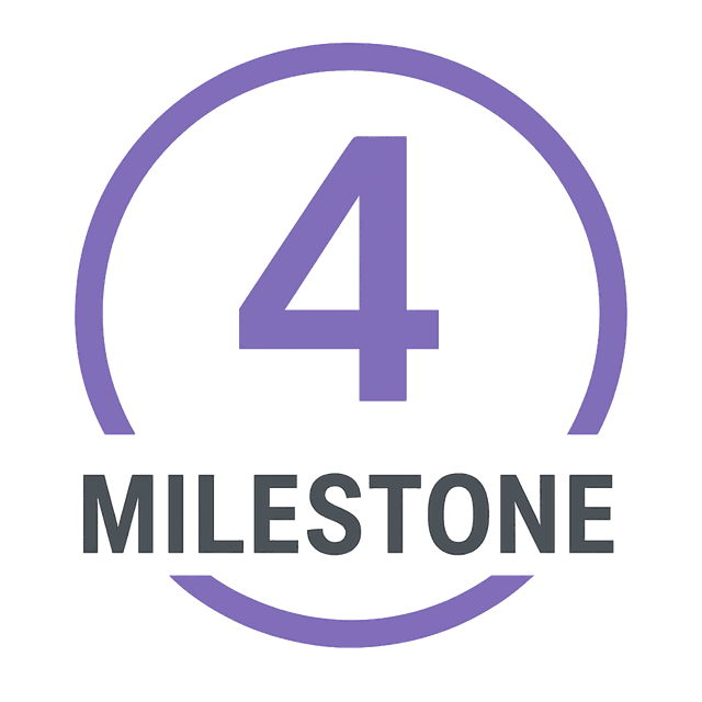 Public Mainnet Milestone